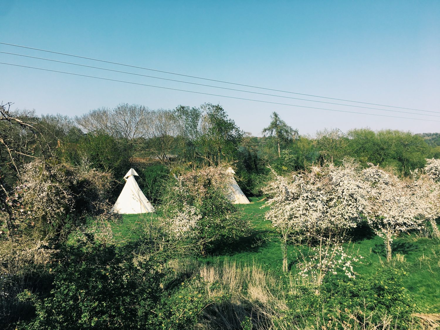 Glamping orchard